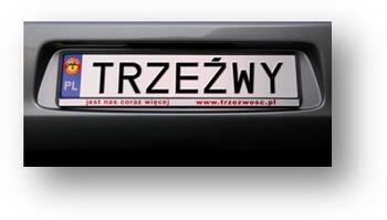 trzezwy